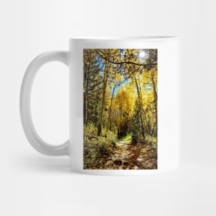 Golden Aspen Groves in Colorado Mug